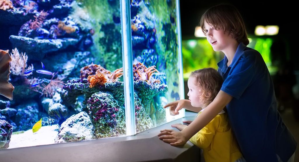 Дети возле морского аквариума