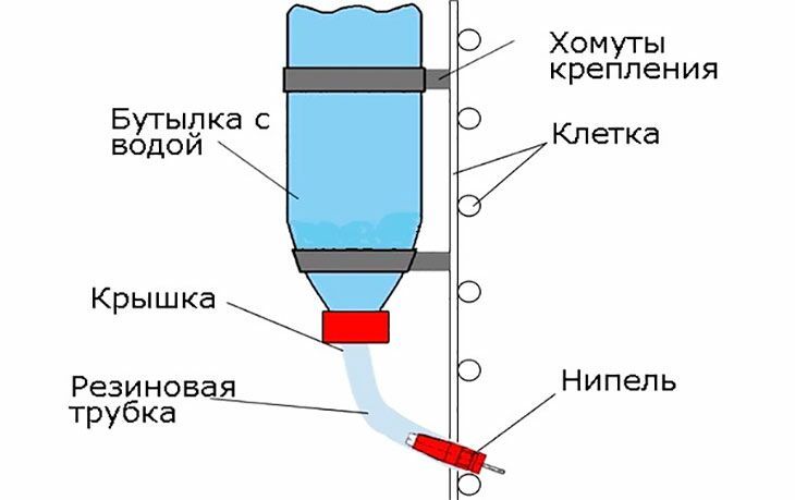 Утиная поилка своими руками | trenazer43.ru